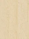 CT74-hd-0.webp