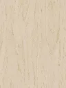 CT19-hd-0[1].webp