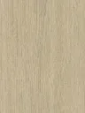 NF32-hd-0.webp