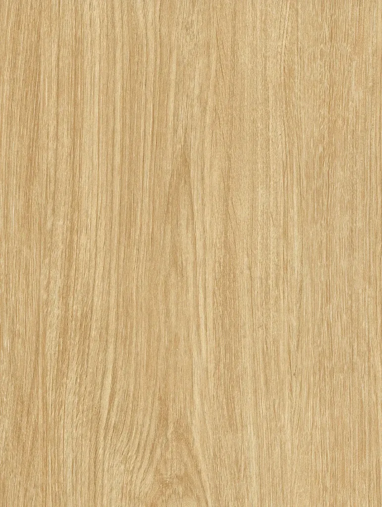 NF40-hd-0.webp