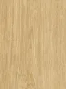 NF40-hd-0.webp