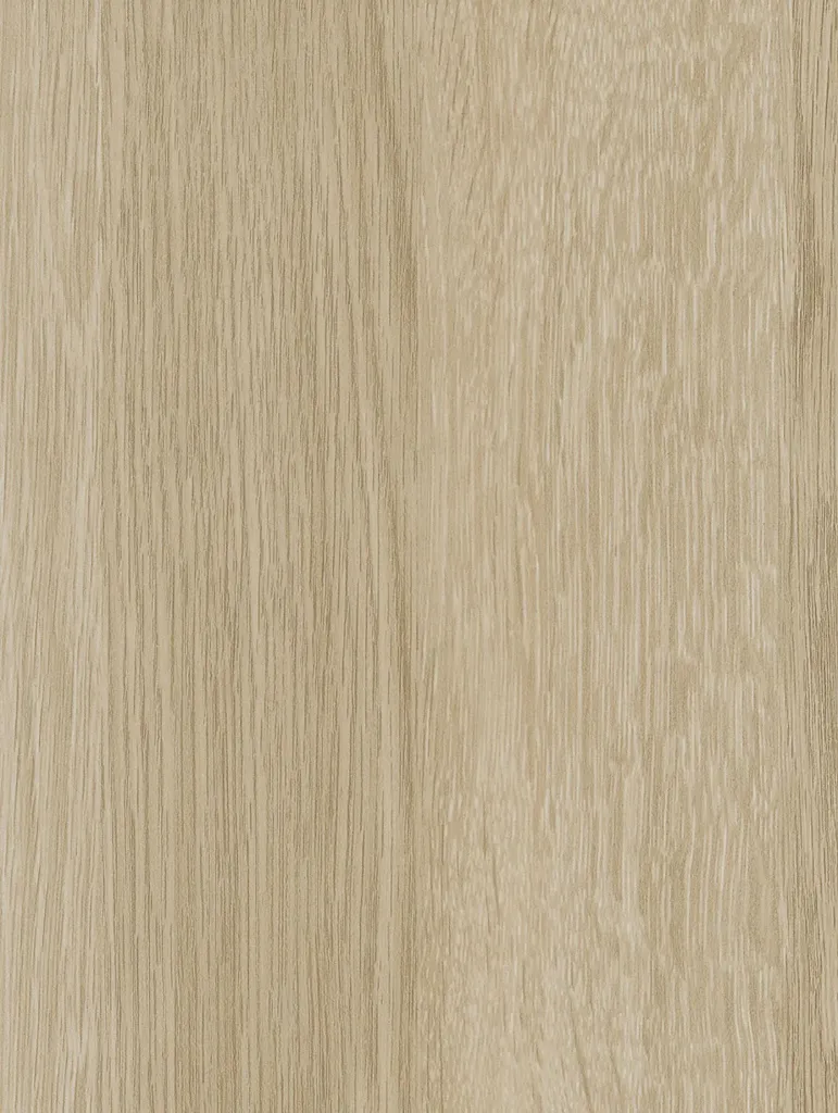 NE61-hd-0.webp