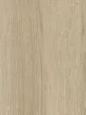 NE61-hd-0.webp