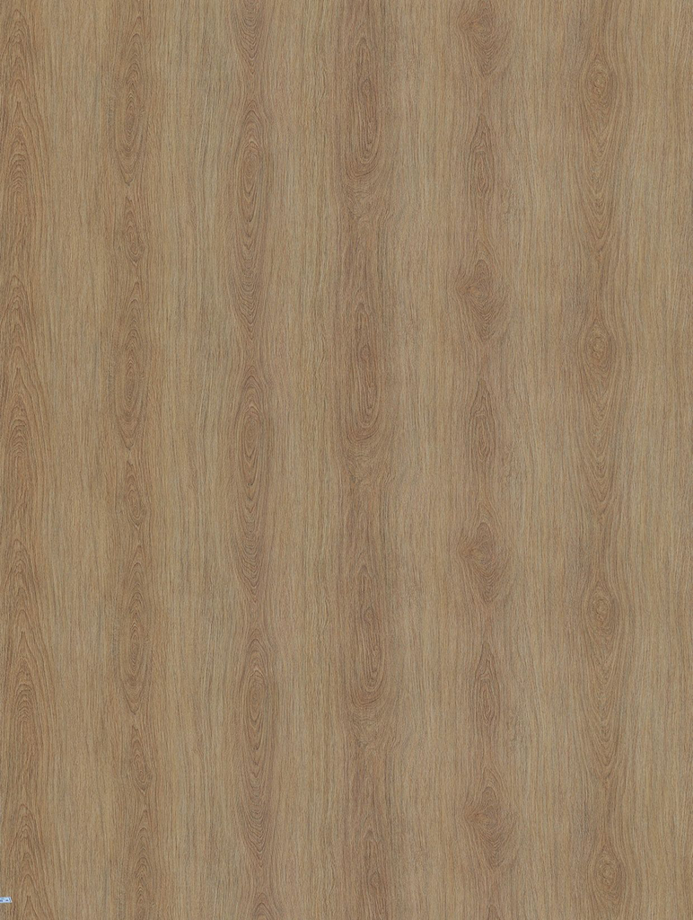 NF66-hd-0.webp