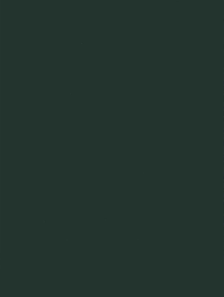 NF13-hd-0.webp
