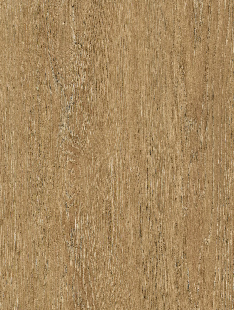 NF43-hd-0.webp