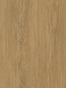 NF43-hd-0.webp