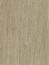 NF44-hd-0.webp