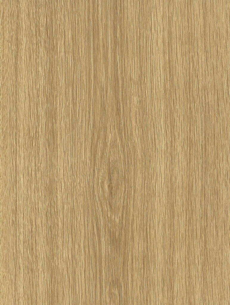 NF46-hd-0.webp