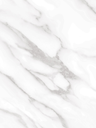 NE31-hd-0.webp