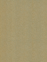 R19-hd-0.webp