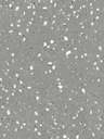 NG02-hd-0.webp