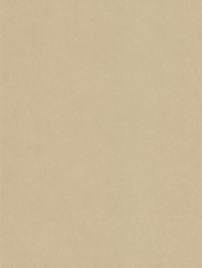 NE42-hd-0.webp