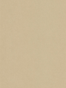 NE42-hd-0.webp