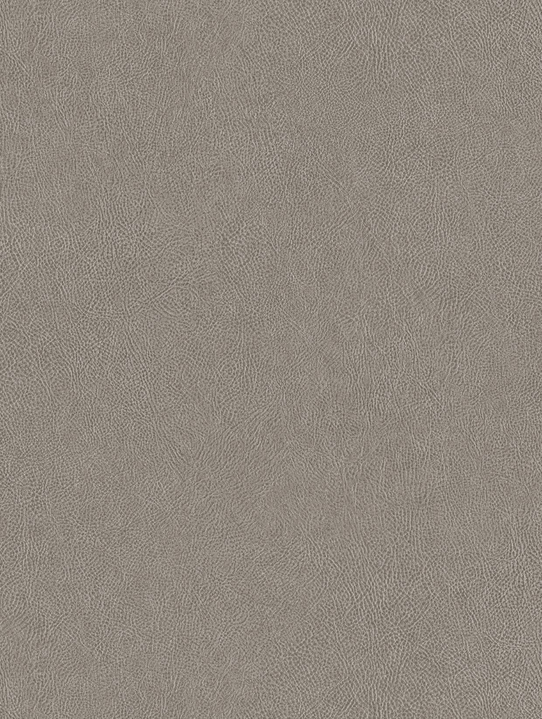 NE41-hd-0.webp