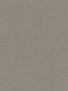 NE41-hd-0.webp
