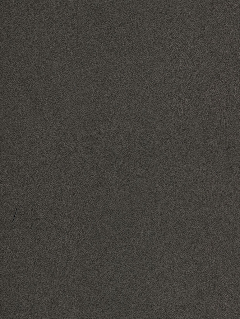NE40-hd-0.webp