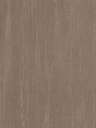 NE13-hd-0.webp