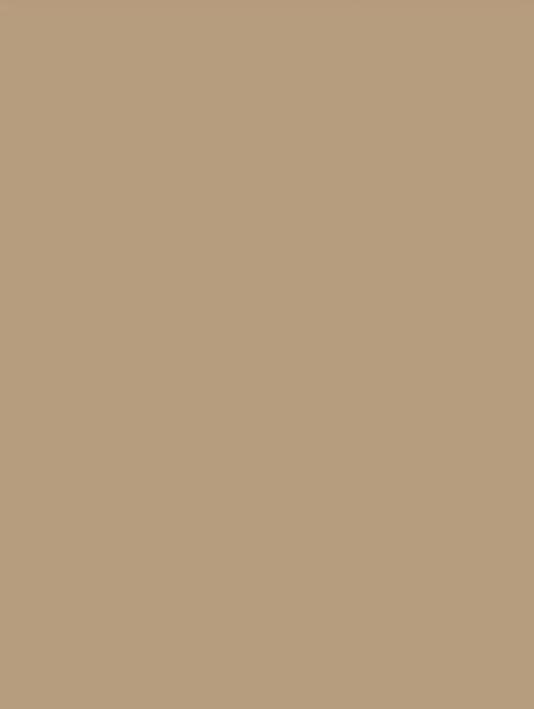 NE55-hd-0.webp