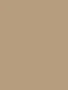 NE55-hd-0.webp