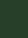 NE83-hd-0.webp