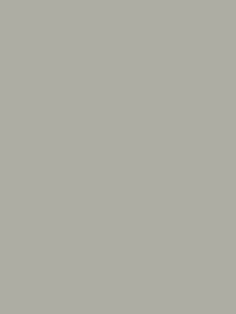 NF11-hd-0.webp