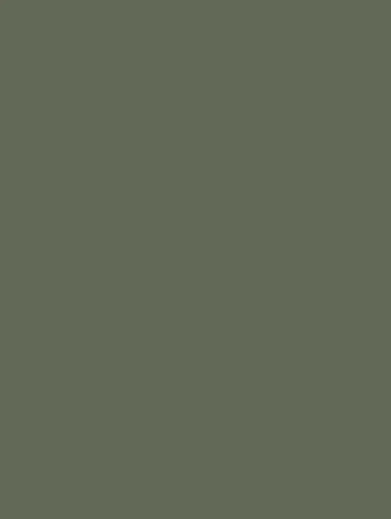RM20-hd-0.webp