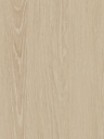 CT100-hd-0.jpg