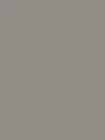 Film Adhésif Soyeux Elephant Grey CoverStyl NE79/LV