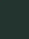 Film Adhésif Soyeux Deep Green CoverStyl NF13/LV