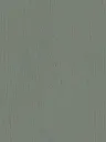 Film Adhésif Bois Peint Smokey Green CoverStyl NH15/PL/LV
