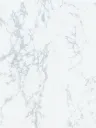 Film Adhésif Marbre Polished White CoverStyl NG31/LV