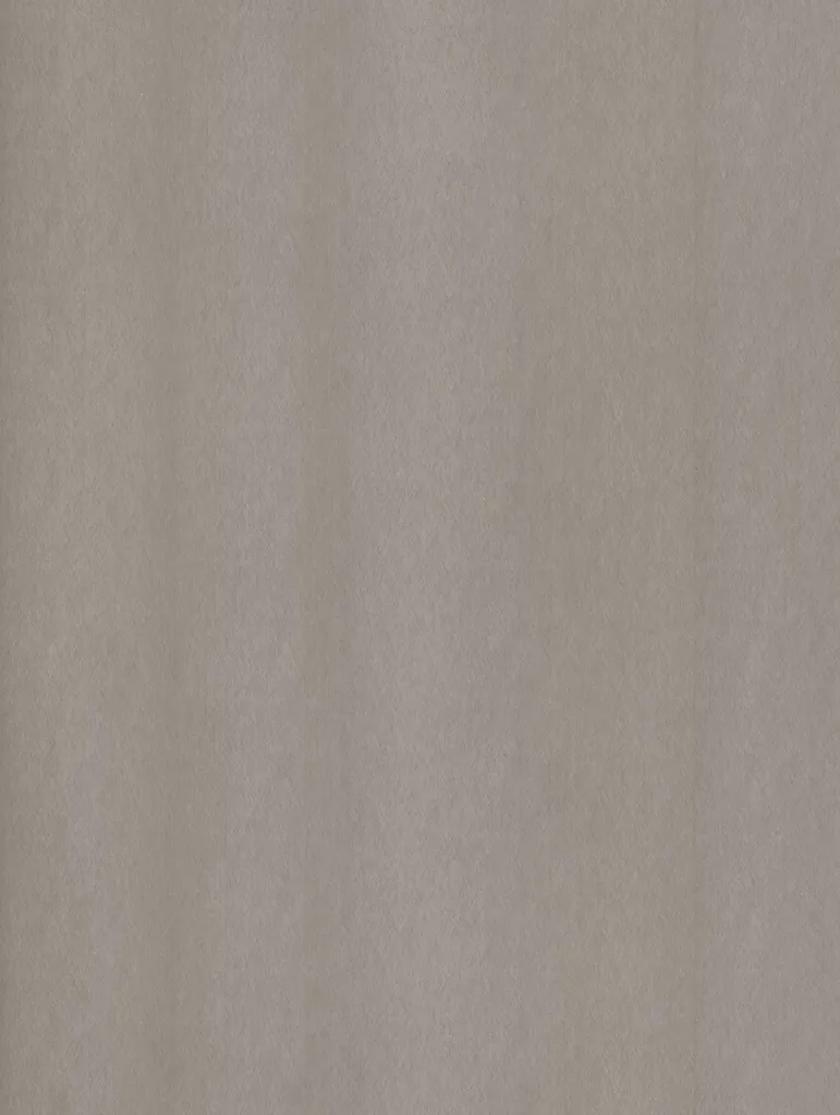 Film Adhésif Métal Brossé Champagne Silver CoverStyl NE51/LV (Au ML)