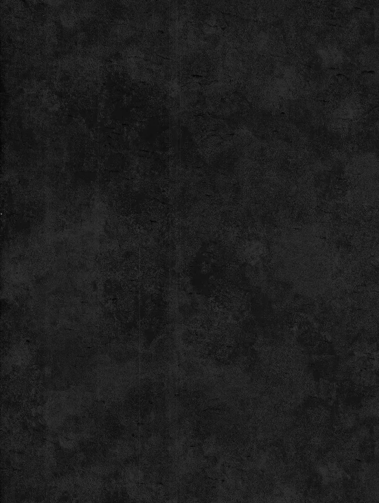 Film Adhésif Métal Rouillé Black Iron CoverStyl U10/PL/LV