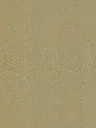 Film Adhésif Paillette Champagne CoverStyl R19/LV