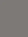 Film Adhésif Couleur Lead Grey CoverStyl RM03/LV