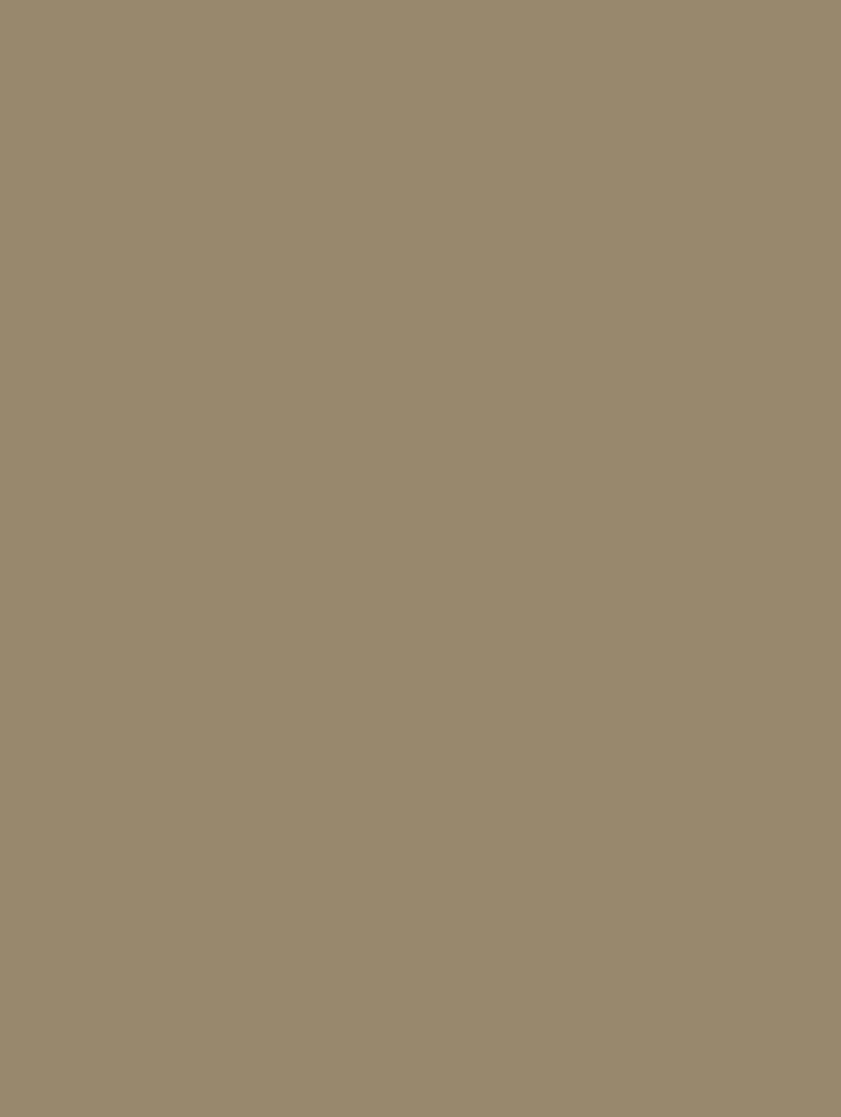 Film Adhésif Couleur Khaki CoverStyl K4/LV