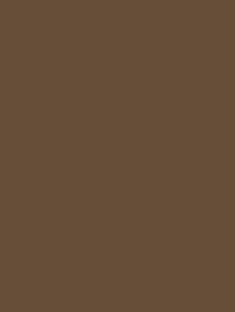 Film Adhésif Couleur Brown Chocolate CoverStyl RM04/LV (Au ML)