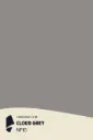 Film Adhésif Couleur Cloud Grey CoverStyl NF10/LO